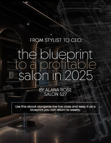 FROM STYLIST TO CEO: THE BLUEPRINT TO A PROFITABLE SALON IN 2025 EBOOK
